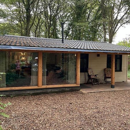 Huisje In Het Bos Zuidlaren Eksteriør bilde
