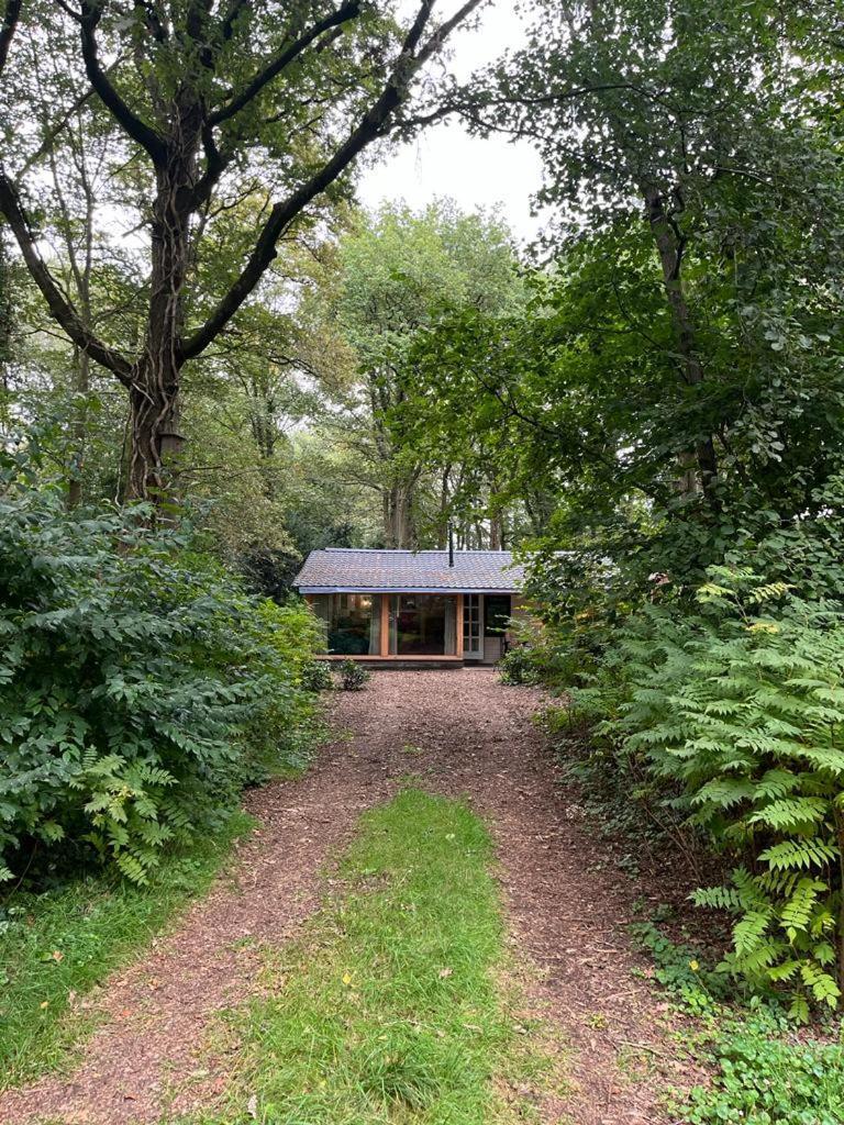 Huisje In Het Bos Zuidlaren Eksteriør bilde