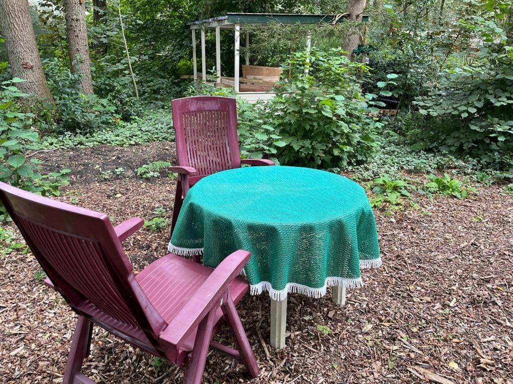 Huisje In Het Bos Zuidlaren Eksteriør bilde